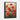 Scarlet Bloom Symphony Framed Canvas (Black) / 18 x 24