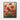 Scarlet Bloom Symphony Framed Canvas (Black) / 11 x 14