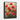 Scarlet Bloom Symphony Framed Canvas (Black) / 16 x 20