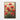 Scarlet Bloom Symphony Framed Canvas (Walnut) / 32 x 48