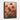 Scarlet Bloom Symphony Framed Canvas (Walnut) / 16 x 20