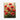 Scarlet Bloom Symphony Canvas Wrap / 18 x 24