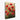 Scarlet Bloom Symphony Canvas Wrap / 24 x 32