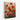 Scarlet Bloom Symphony Canvas Wrap / 11 x 14