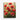 Scarlet Bloom Symphony Canvas Wrap / 11 x 14