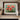 Bold Poppy Delight Fine Art Print / 48 x 32