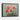Bold Poppy Delight Framed Canvas (Black) / 32 x 24