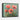 Bold Poppy Delight Framed Canvas (Black) / 10 x 8