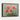 Bold Poppy Delight Framed Canvas (Walnut) / 32 x 24