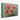 Bold Poppy Delight Canvas Wrap / 30 x 20