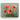 Bold Poppy Delight Canvas Wrap / 10 x 8