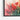 Radiant Blooms Watercolor Framed Canvas (Black) / 48 x 32