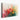 Radiant Blooms Watercolor Canvas Wrap / 30 x 20