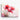 Floral Blush Symphony Canvas Wrap / 24 x 18