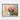 Pastel Blossom Breeze Framed Canvas (Black) / 14 x 11
