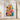 Playful Animals Fine Art Print / 32 x 48
