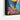Tropical Elephant Whimsy Framed Canvas (Black) / 32 x 48