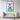Playful Pop Pony Framed Canvas (Black) / 20 x 30