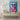 Cool Pig Canvas Wrap / 30 x 40
