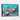 Vibrant Ocean Creatures Framed Canvas (Black) / 30 x 20