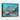 Vibrant Ocean Creatures Framed Canvas (Black) / 32 x 24