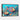 Vibrant Ocean Creatures Framed Canvas (Walnut) / 48 x 32
