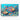 Vibrant Ocean Creatures Canvas Wrap / 48 x 32