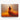 Fiery Elegance Canvas Wrap / 24 x 18