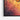 Monarch Blossom Framed Canvas (Black) / 32 x 48
