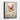 Butterfly Bliss Framed Canvas (Black) / 11 x 14