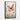 Butterfly Bliss Framed Canvas (Walnut) / 20 x 30