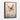 Butterfly Bliss Framed Canvas (Walnut) / 24 x 32