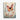 Butterfly Bliss Canvas Wrap / 8 x 10
