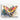 Cactus Butterfly Symphony Canvas Wrap / 24 x 18