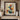 Cactus Bloom Flight Fine Art Print / 30 x 40