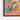 Desert Roadrunner Dreamscapes Framed Canvas (Black) / 16 x 20