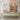 Desert Roadrunner Dreamscapes Canvas Wrap / 24 x 32