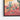 Desert Bird Harmony Framed Canvas (Black) / 16 x 20