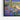 Cactus Bloom Pathway Framed Canvas (Black) / 32 x 24
