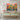 Desert Bloom Canvas Canvas Wrap / 48 x 32