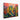 Desert Bloom Canvas Canvas Wrap / 10 x 8