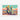 Cactus Colorscaping Fine Art Print / 30 x 20