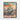 Desert Bloom Framed Canvas (Black) / 11 x 14