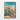 Prickly Pear Serenity Bloom Framed Canvas (Black) / 20 x 30