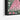 Blooming Elegance Framed Canvas (Black) / 16 x 20