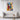 Vibrant Unity Quilt Canvas Wrap / 24 x 32