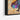Urban Tapestry Strider Framed Canvas (Black) / 11 x 14
