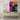 Neon Bovine Bliss Canvas Wrap / 24 x 32