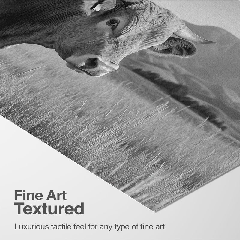 Luxurious Texture & Detail
