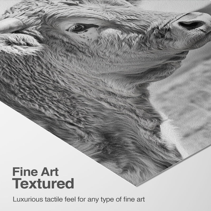 Luxurious Texture & Detail